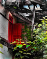 The Red Door 2