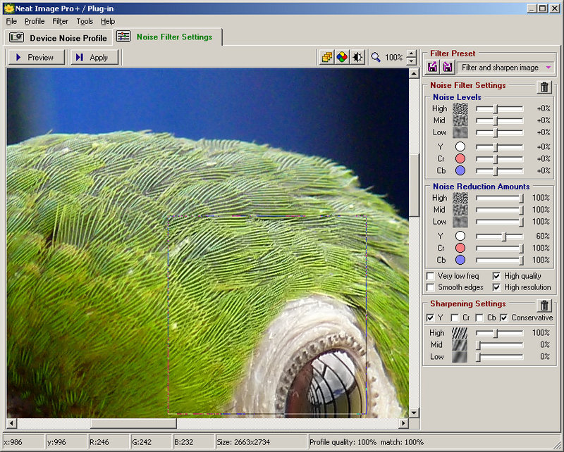 002-Neat image on full size-Filter and Sharpen.jpg