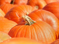 DSC04689.JPG