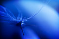 Floating in a blue world