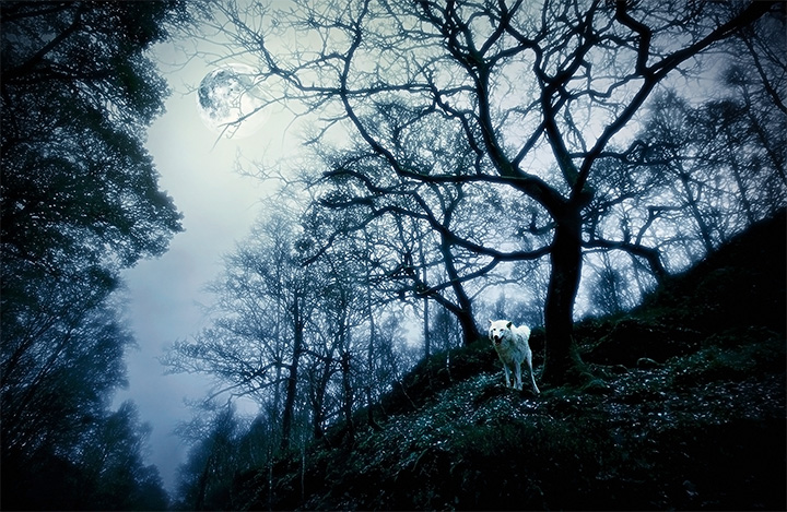 Hunter´s Moon