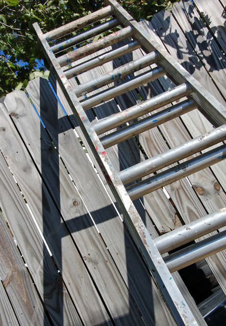 Ladder