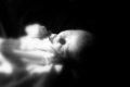 Newborn.jpg