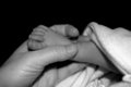 Hand and Foot.jpg