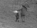 In the rain.jpg