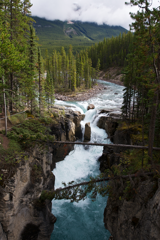 Sunwapta Falls