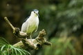 20101106_Birds_DSC06210
