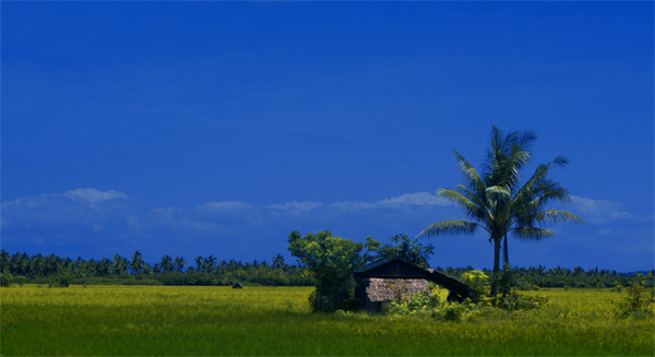 Trip to my hometown