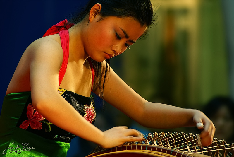 The Musician