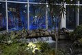 Devonian Gardens 3