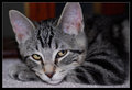 George 