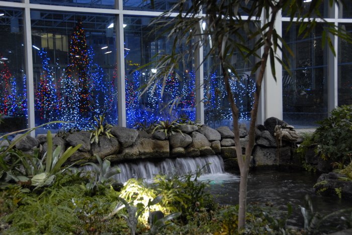 Devonian Gardens 3