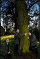 Tree Hugger