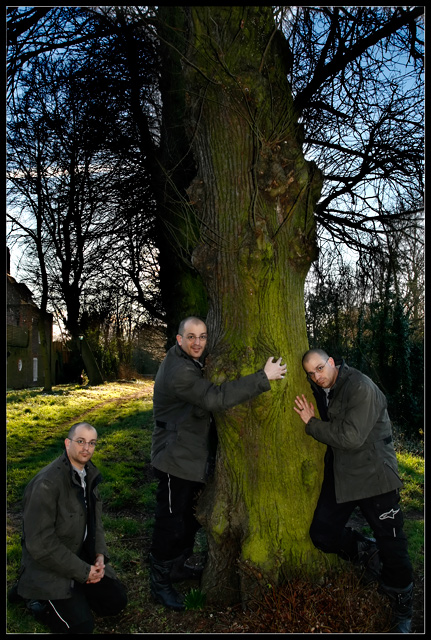 Tree Hugger
