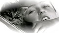miaou!