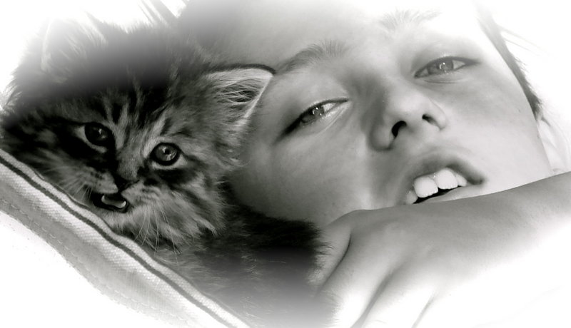 miaou!