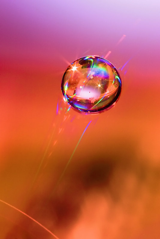 A Simple Water Drop