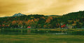 The Pond