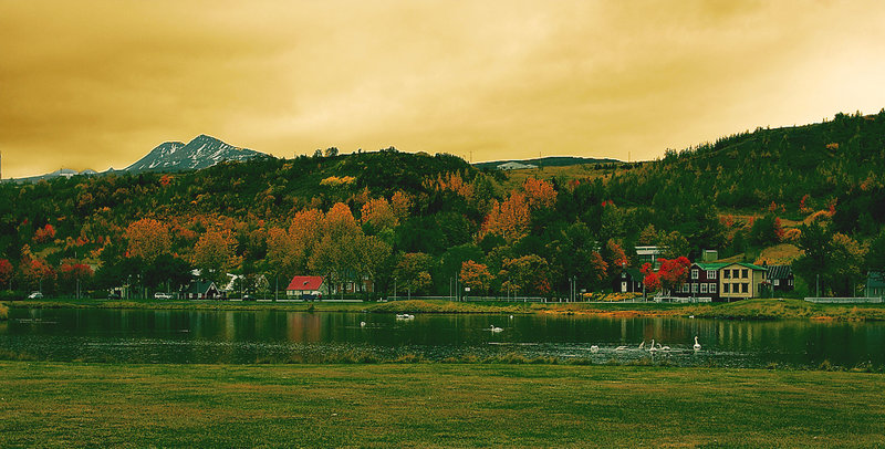 The Pond