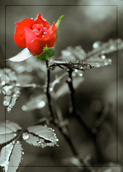 standing out