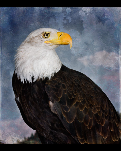 Eagle