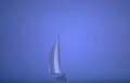 fogboat.jpg