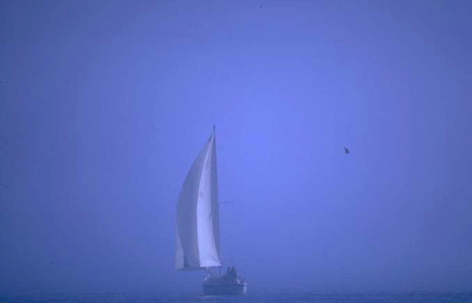 fogboat.jpg