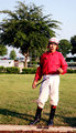 The Jockey.jpg