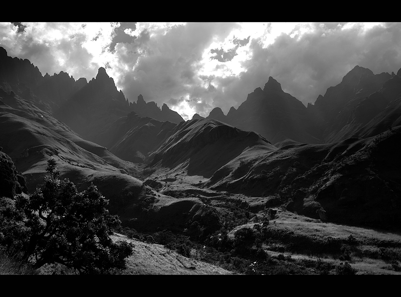 Mountain Melody