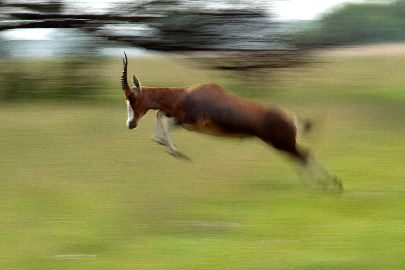 Jump-dpc