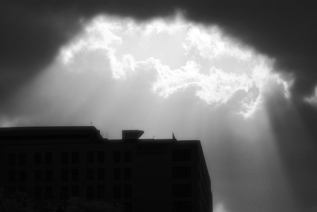 Rays