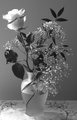 Flower.jpg