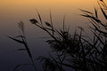 _DSC0292_small.jpg