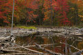 Rigaud Mountain fall colours