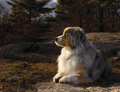 _DSC0966_1_3_small.jpg