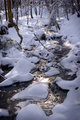 Winters back!!!