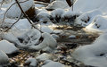 Winter scene