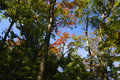 Rigaud Mountain, fall colours_web.jpg