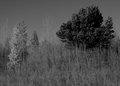 Top of the hill