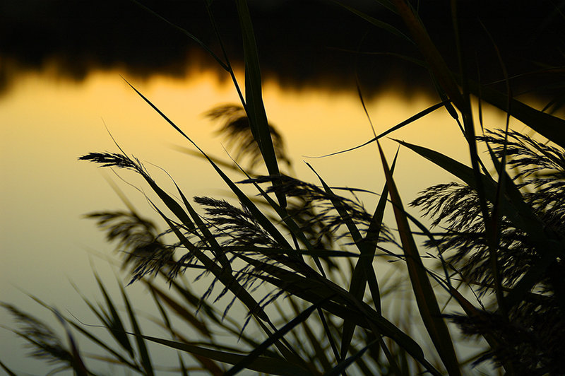 Sunset on the water
