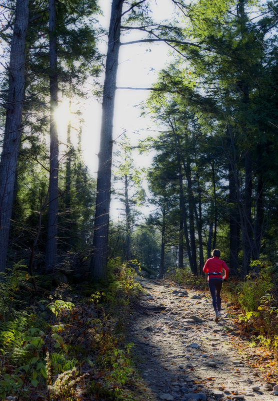 Run to the light