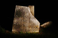 DSC_0036 basic edit.jpg