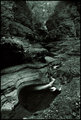 Watkins Glen Pool Quadtone