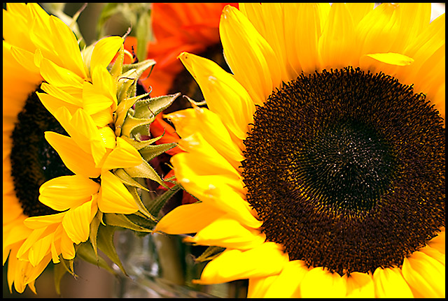 August-1,-2008.jpg