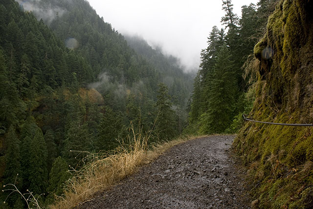 DSC_0354.jpg