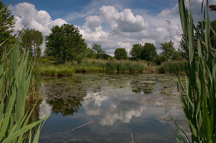 DSC_1061-original.jpg