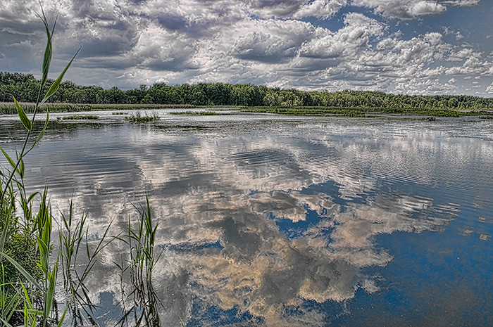 DSC_1064.Topaz-jpg.jpg