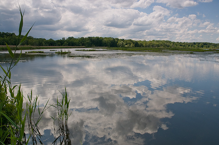 DSC_1064.jpg