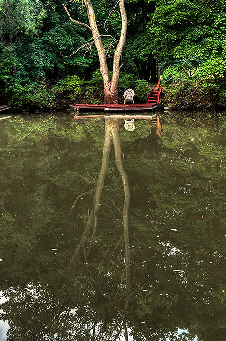 The Chair on the Dock