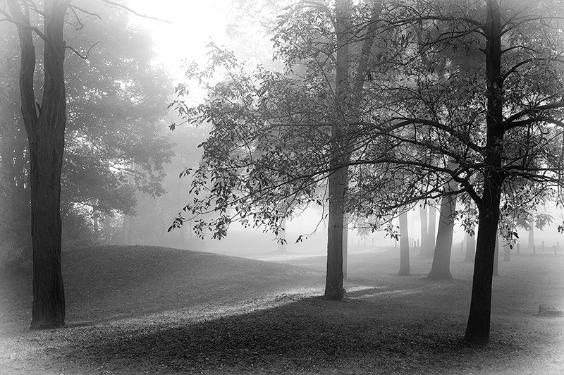 A Mundane Little Park Near Palmyra, NY